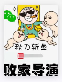败家导演