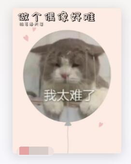 做个偶像好难
